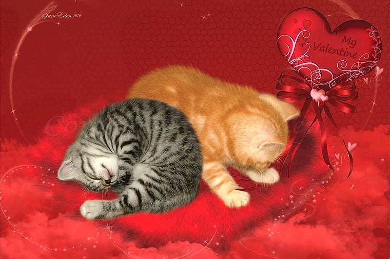 Valentine Kitties, valentines day, red, kittens, adorable, valentine, sweet, Cozy, Cats, Snuggle, HD wallpaper