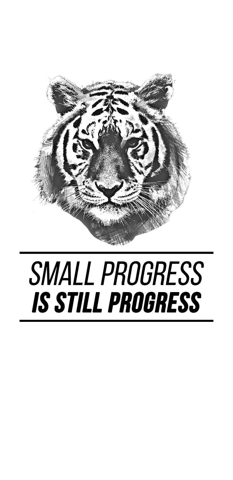 900+ Free Progress & Success Images - Pixabay