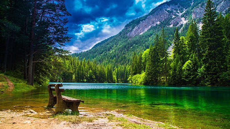Stone Bench Near River And Landscape Of Green Trees Forest Mountain Nature, HD wallpaper