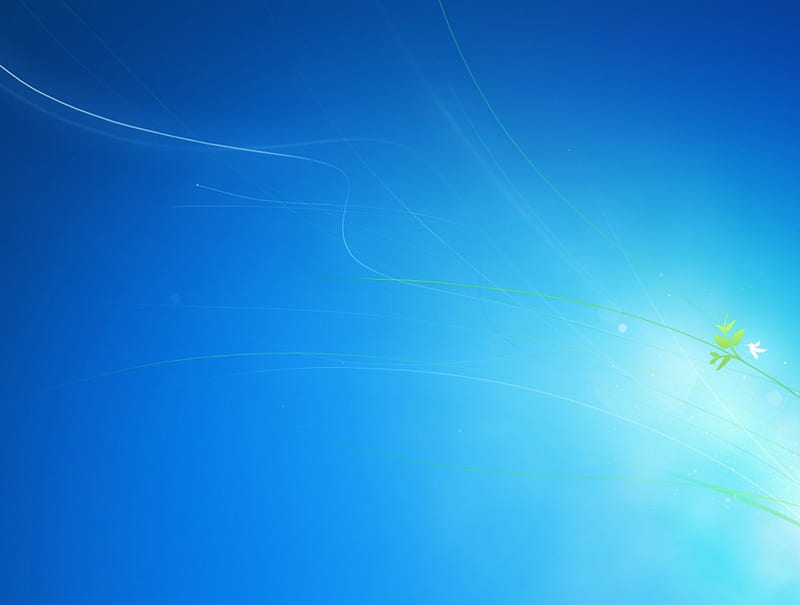windows 7 theme, bonito, blue and white clours, nice design, small and nice bird, HD wallpaper