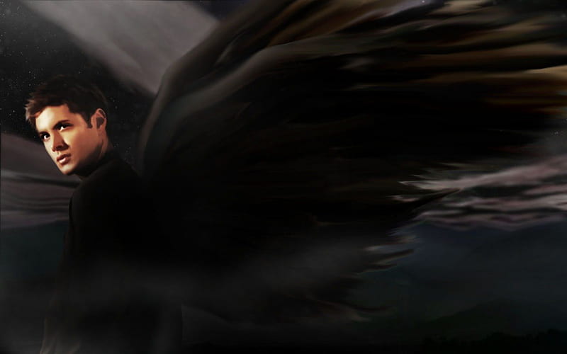 Dean Winchester, wings, brother, sam, angel, michael, supernatural, demon, dean, older, HD wallpaper