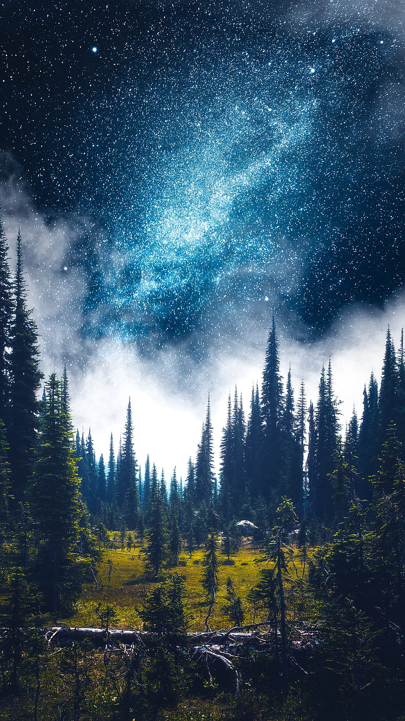 Alpine Dreamland, Calibreus, Doehler, Zach Doehler, art, artistic, color, colorful, dreamy, environment, fine art, landscape, moon, mountains, ocean, graphy, que, stars, sunrise, sunset, trees, vibes, water, HD phone wallpaper