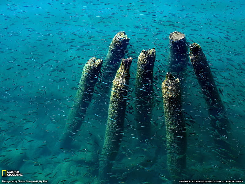 Lake Ohrid Dock Remains- National Geographic selected, HD wallpaper