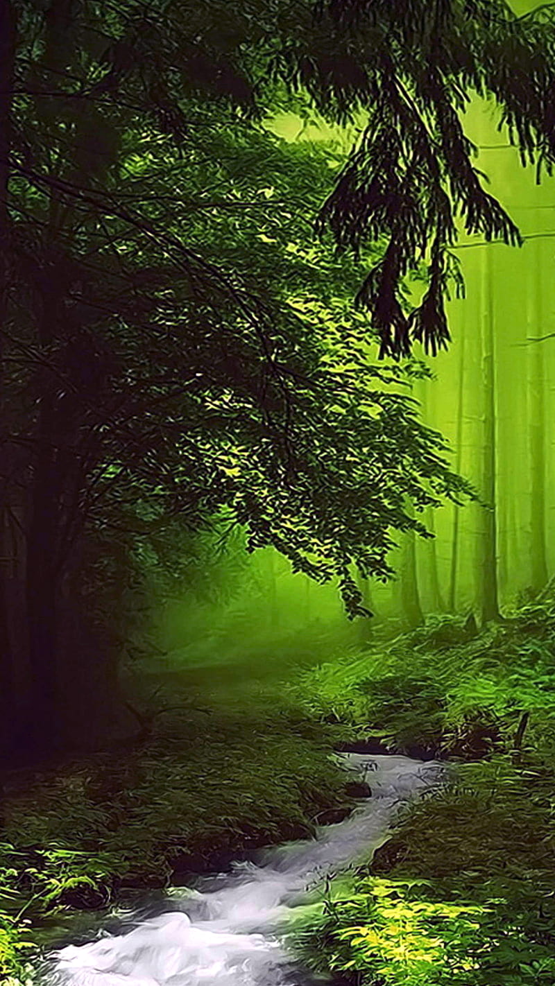forest, foret, green, landscape, paysage, HD phone wallpaper