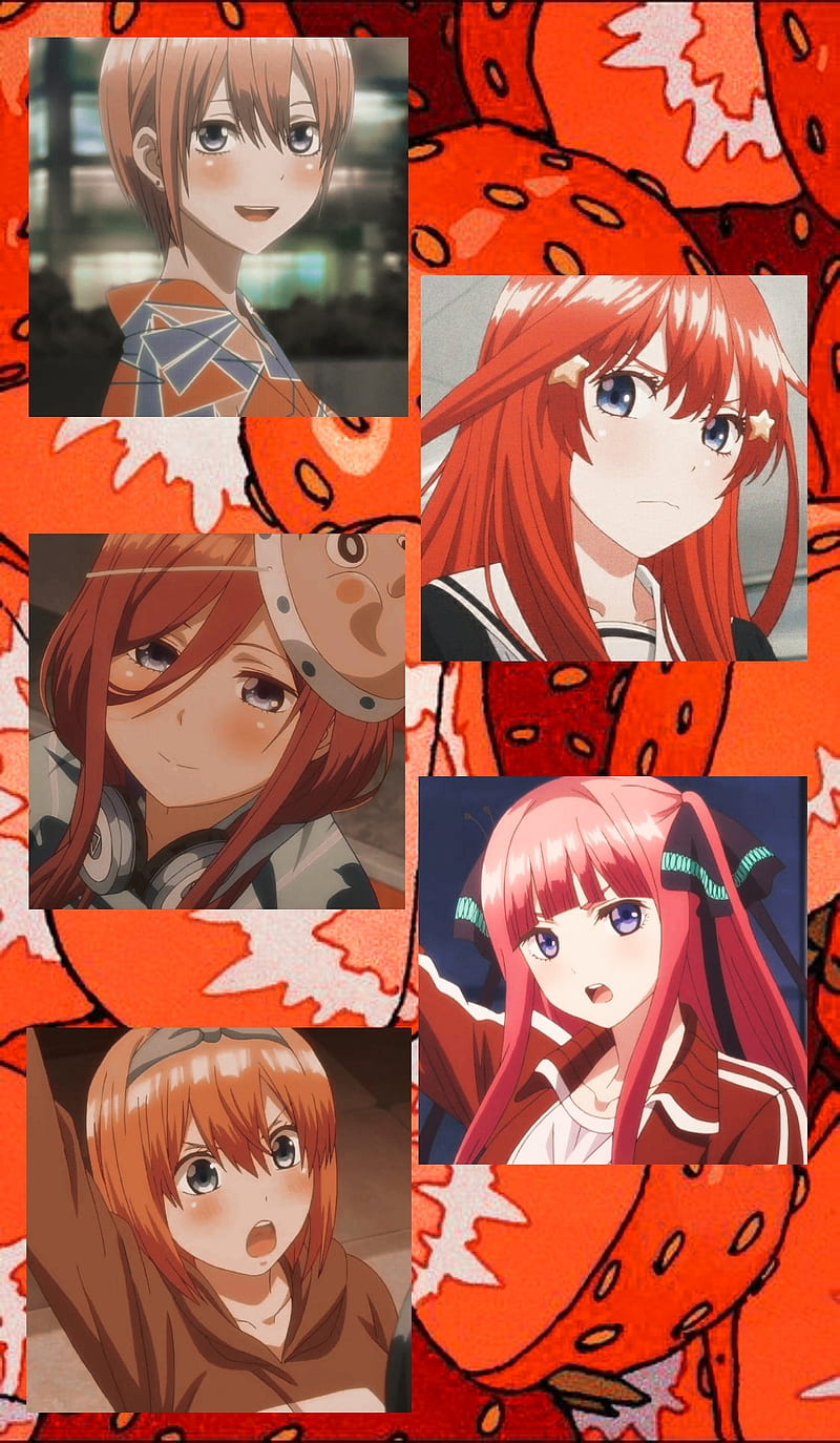 The Quintuplet, anime, girls anime, ichika, itsuki, miku, nakano, nino, yotsuba, HD phone wallpaper