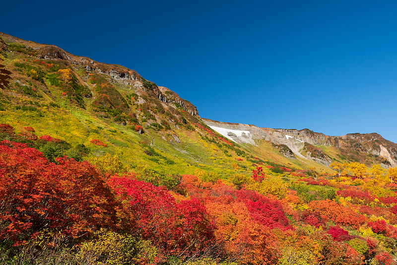 mountain, piedmont, trees, autumn, landscape, HD wallpaper