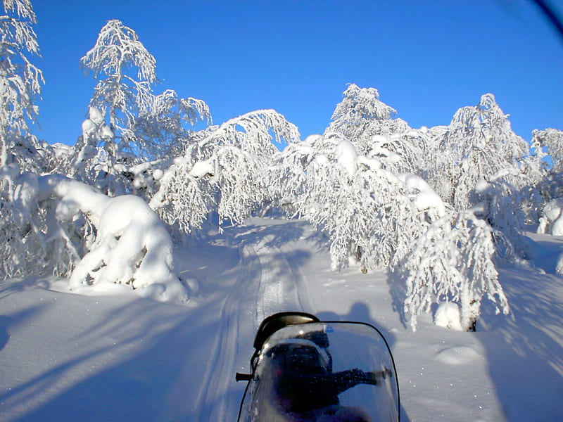 discovering Finland by snowmobile, snowmobile, snow, winter, finland, HD wallpaper