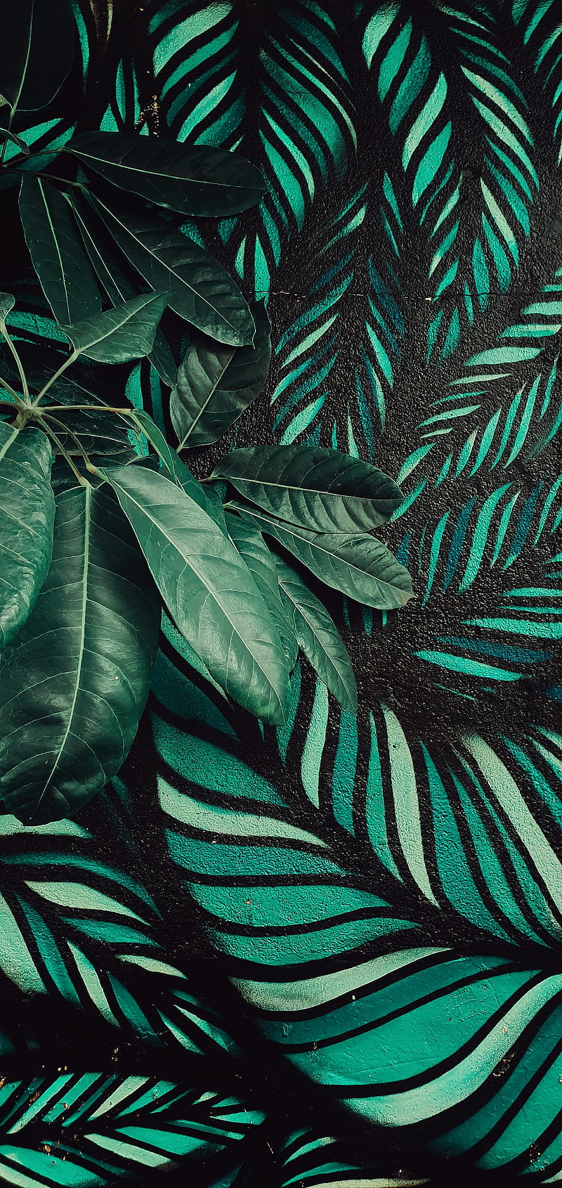 leaves, plant, wall, art, green, HD phone wallpaper