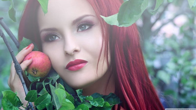 Redhead girl, apple, tree, model, redhead, HD wallpaper