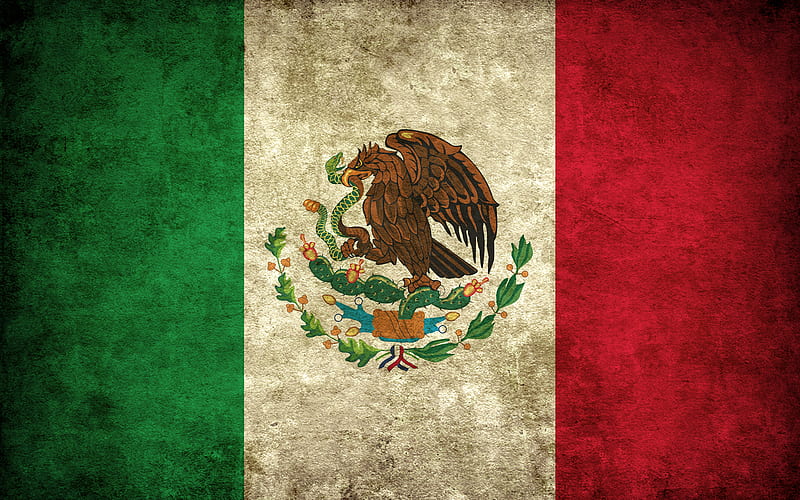 HD wallpaper Mexico flag Virgin Mary  Wallpaper Flare