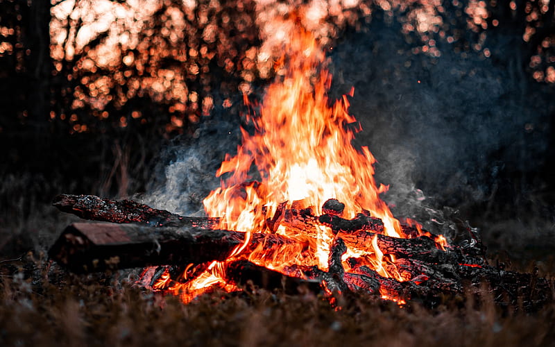bonfire, burning logs, fire, flames, bonfire in the forest, evening, embers, HD wallpaper