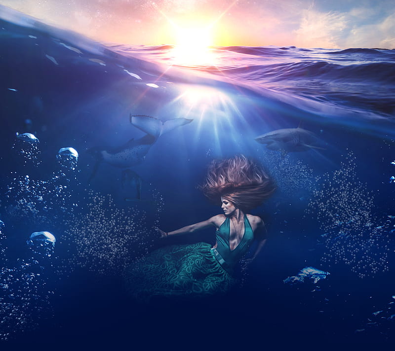 Ocean Girl, sharks, HD wallpaper | Peakpx