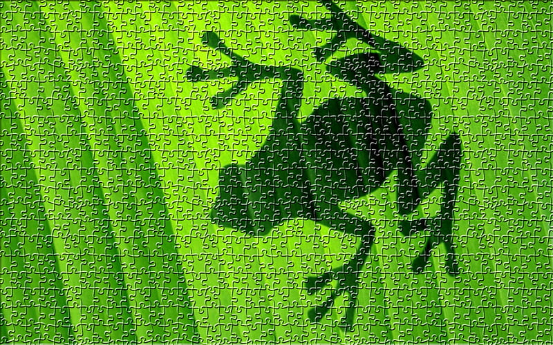 Frog Puzzle, 19, 17, 47, 29, 40, 15, dart, 12, 27, 44, 11, banana, 223, 50, 48, 25, 7, 35, 4, 37, 43, frog, 8, 21, 41, 10, 34, from, 45, 20, 13, 16, 39, poison, 46, banana leaf, 5, 1, 28, green, 14, 32, 49, 38, 9, 2, 6, 42, 33, 22, puzzle, 31, 30, 24, leaf, 1000, tree, 36, 18, 3, HD wallpaper