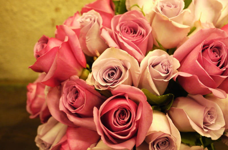 Pink Roses Bouquet, pink, roses, HD wallpaper
