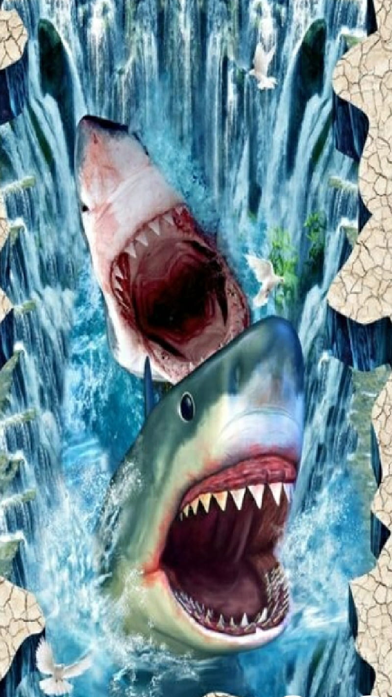 Shark Attack, bites, fish, ocean, predator, sea, sharks, HD phone wallpaper