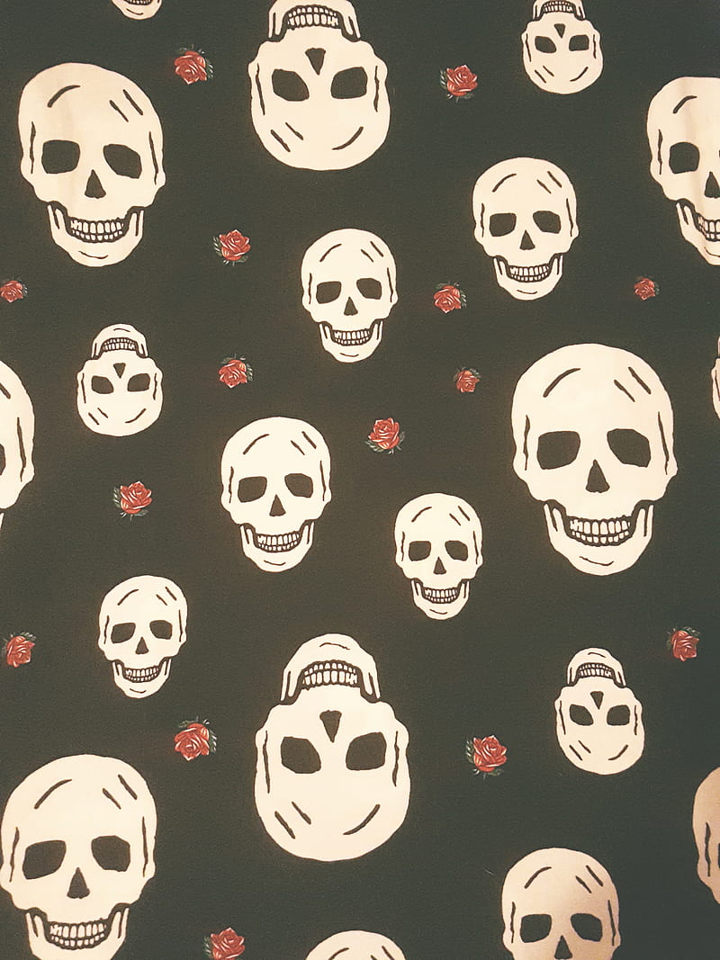 Skulls mini roses, skeleton, skull, witches, HD phone wallpaper | Peakpx