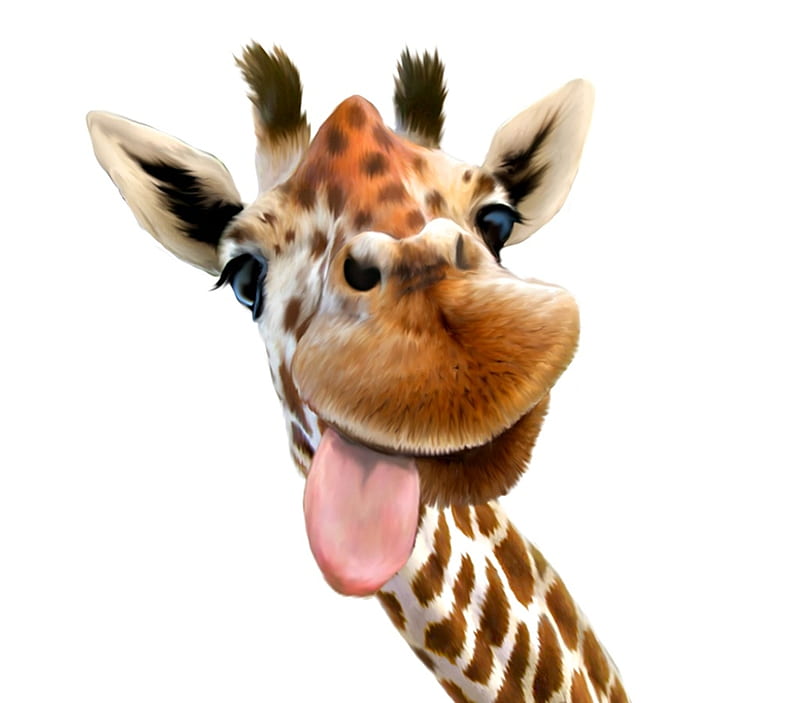 Selfie, funny, giraffe, tongue, animal, HD wallpaper