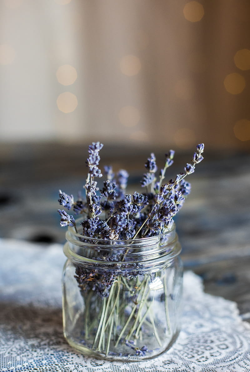 selective focus graphy of blue petaled flowers in clear glass jar, HD phone wallpaper