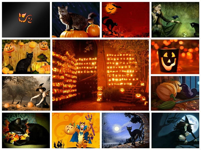 Spirit Of Halloween, Witch, Tigger, Pumpkin, Halloween, Cat, Autumn, Hd 