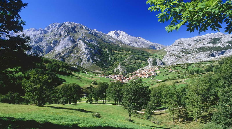 beautiful village on an alpine meadow, village, trees, mountains, meadow, HD wallpaper