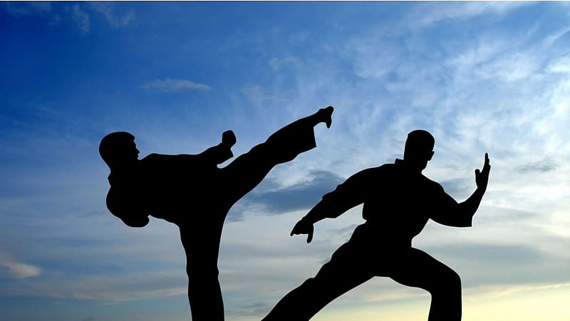 Karate Fight Shadow, HD wallpaper
