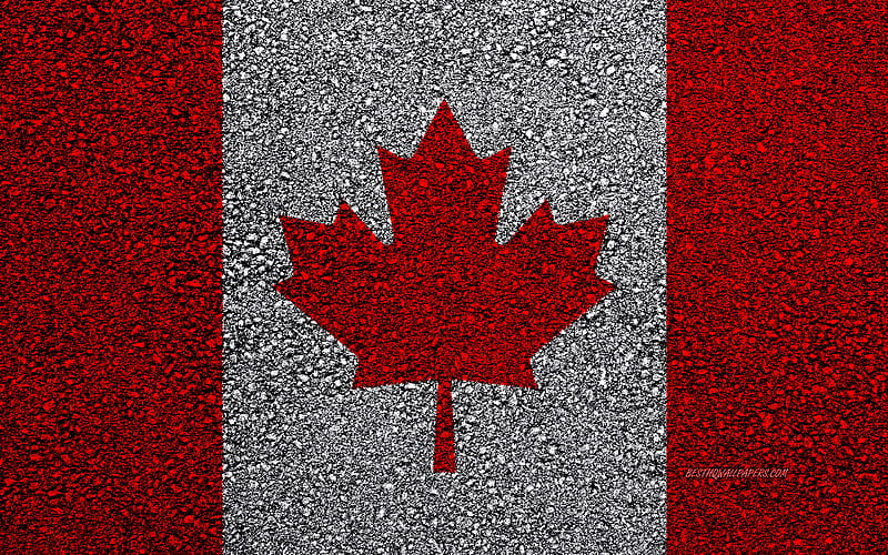 Flag of Canada, asphalt texture, flag on asphalt, Canada flag, North America, Canada, flags of North America countries, Canadian flag, HD wallpaper