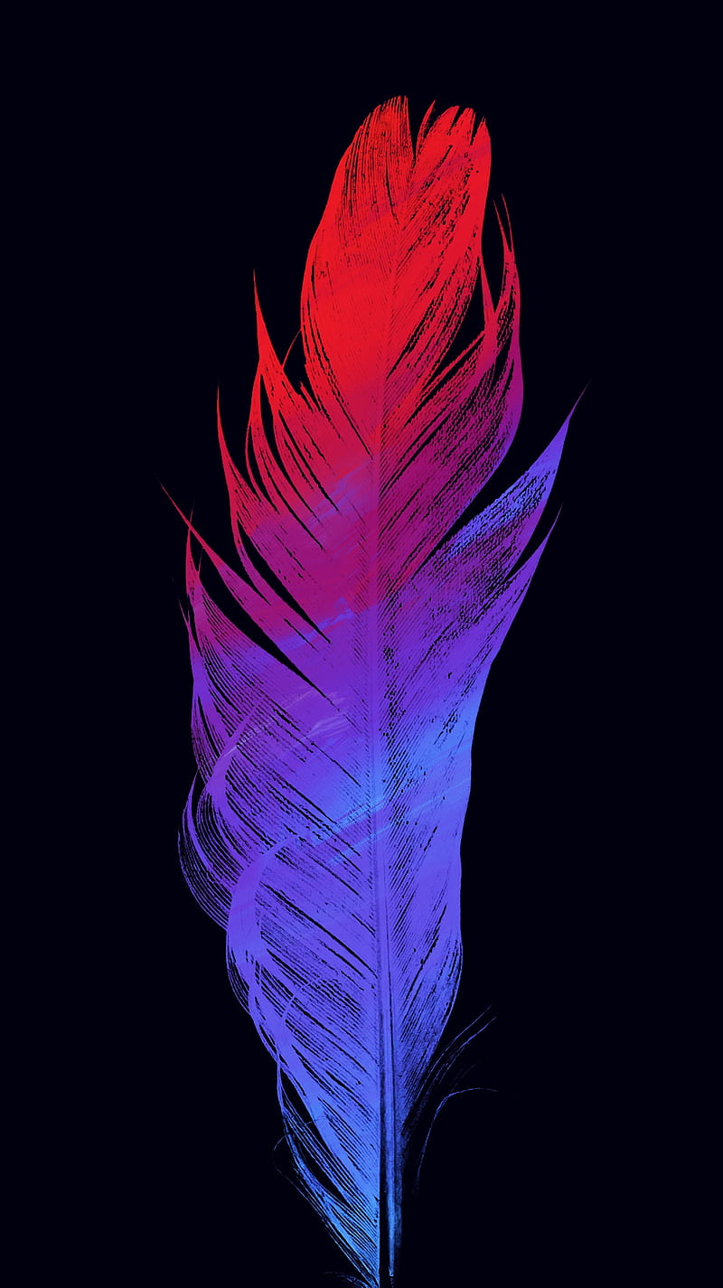 Arty Birdy Feather, amoled, colorful, contrast, edited, oled, true black, vibrant, HD phone wallpaper