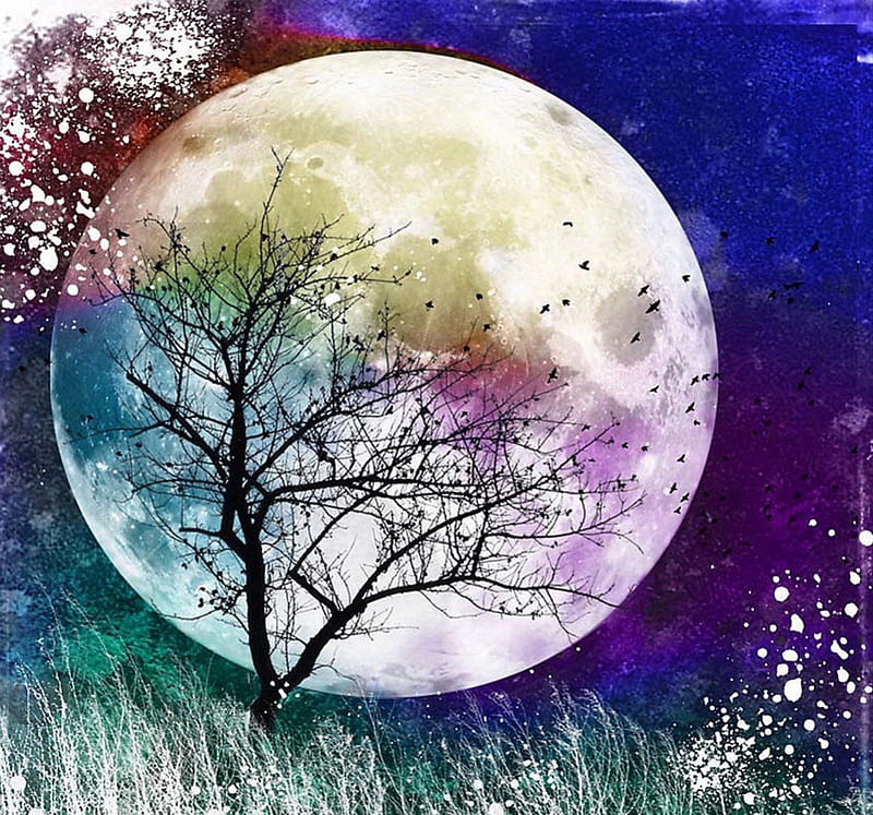 moon, tree, psp, absract, HD wallpaper