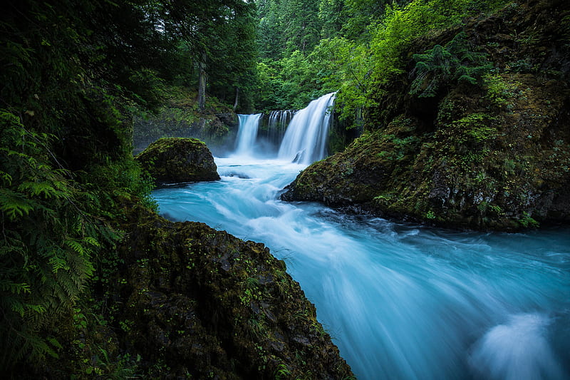 waterfall, forest USA, forest waterfall, rock, Columbia River, Washington, Spirit Falls, Little White Salmon River, HD wallpaper