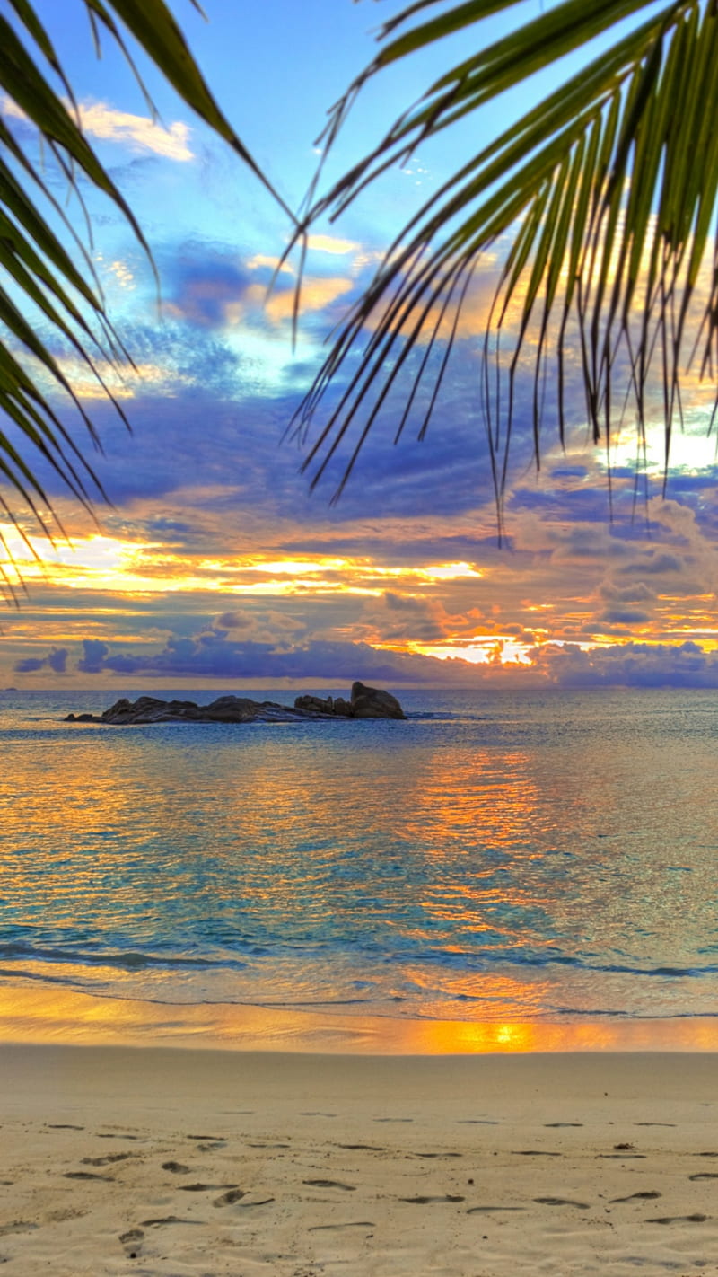 Sunset, background, beach, nature, nice, sea, sky, sunrise, view, HD phone  wallpaper | Peakpx