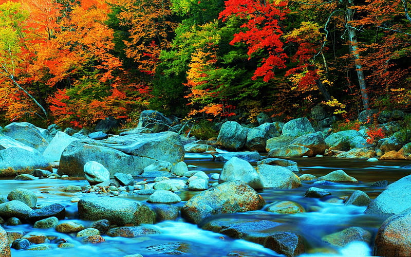 Autumn Creek Fall Stones Colors River Trees Hd Wallpaper Peakpx