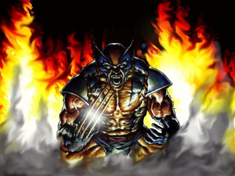 THE FULL RAGE, CLAWS, FIRE, RAGE, WOLVERINE, HD wallpaper