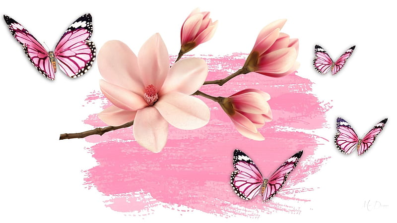 Magnificent Blossoms and Butterflies, magnolias, flwoers, summer, blossoms, spring, butterflies, blooms, pink, HD wallpaper