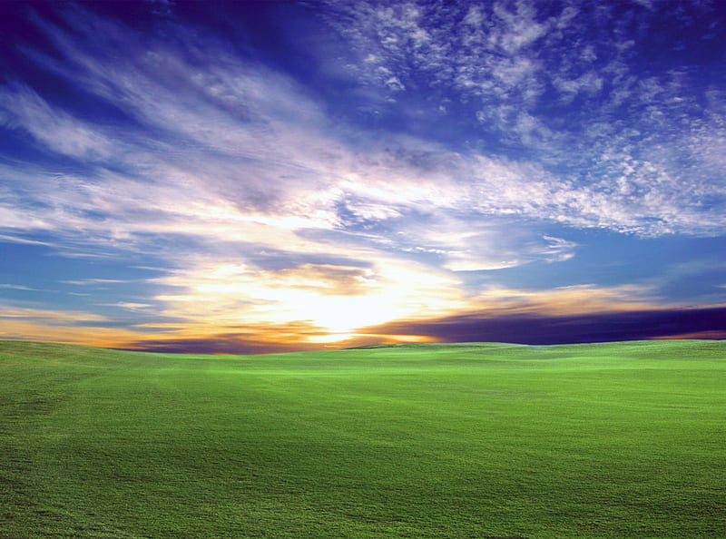 Lonely Sunset, sun, grass, orange, sunset, sky, clouds, daylight, green, day, nature, field, landscape, blue, HD wallpaper