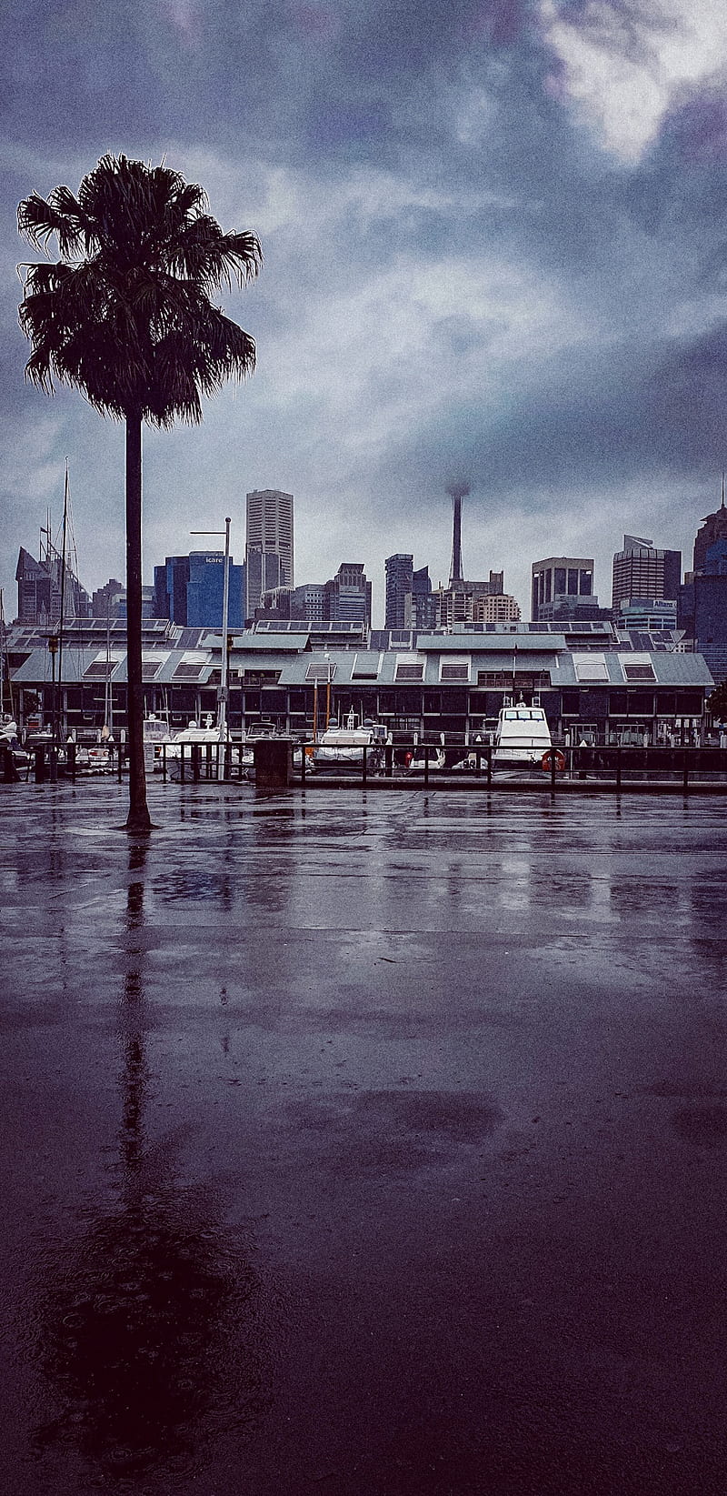 rain, life, luxury, sea, skyline, sydney, HD phone wallpaper