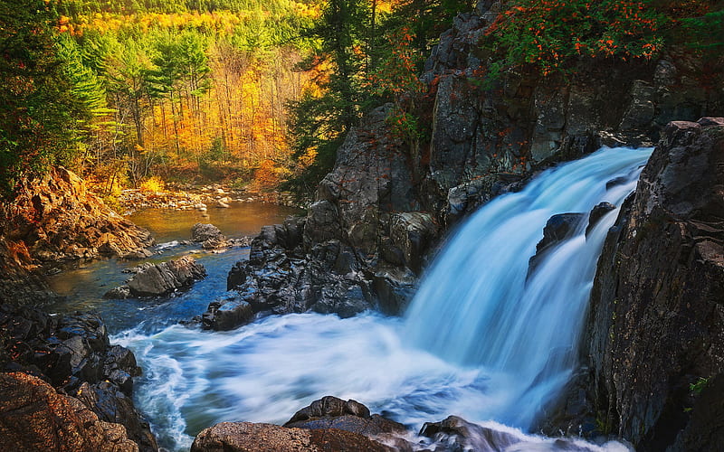 beautiful waterfall, autumn, forest, yellow trees, Adirondack Park, New York State, USA, waterfall, HD wallpaper