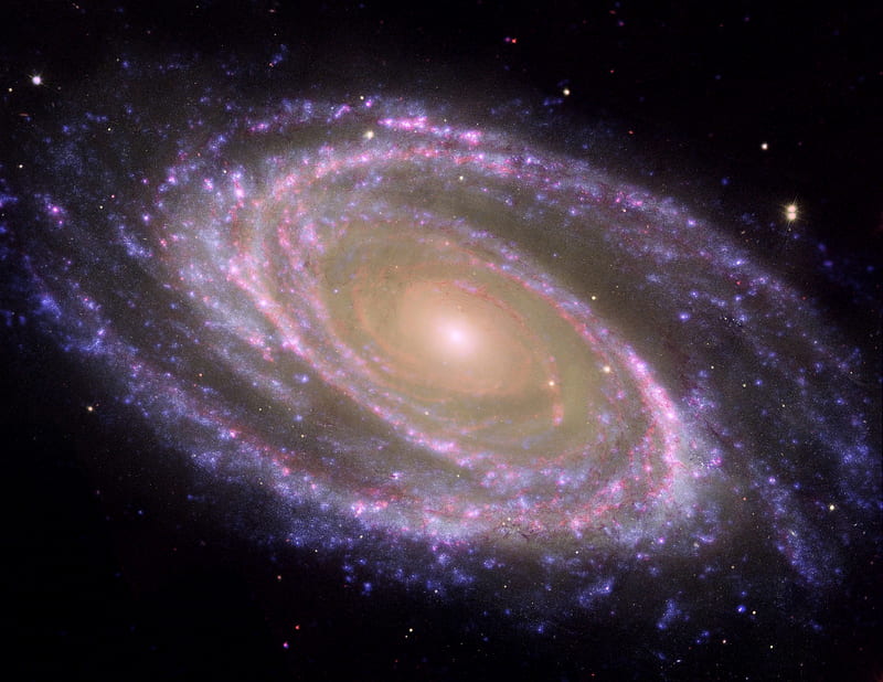 M81 Galaxy - Pink Coloration, messier 81 galaxy, m81 galaxy, messier 81, m81, HD wallpaper