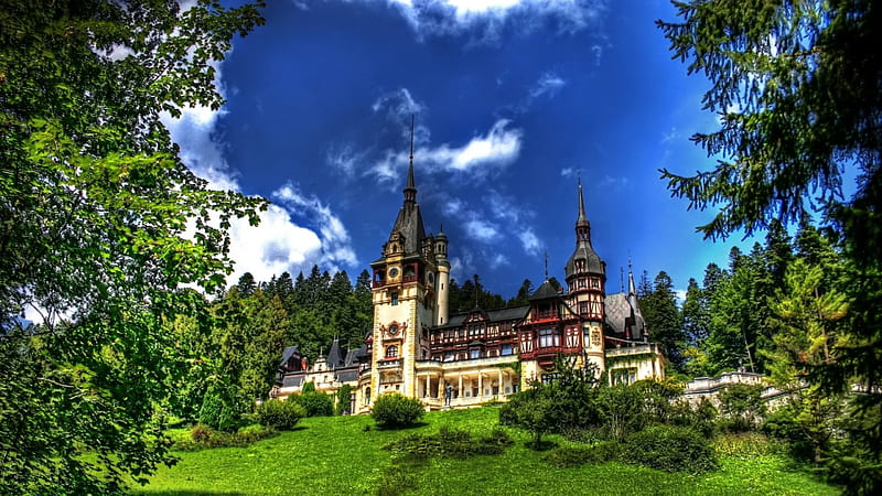 superb castle, forest, towers, grass, clouds, castle, hill, HD wallpaper