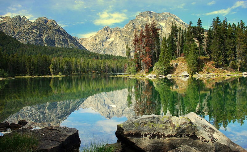 LEIGH LAKE, WYOMING, mountain, forest, water, stones, National Park ...