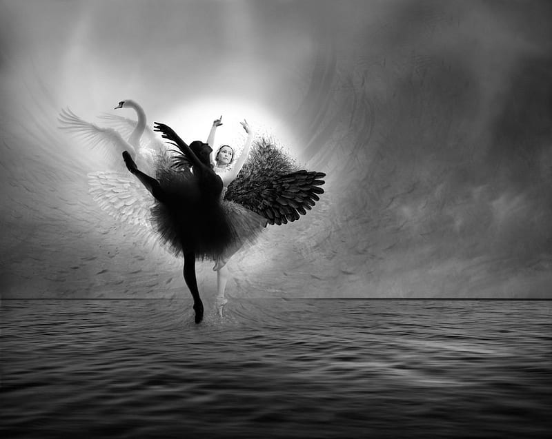 swan lake, artist, art, black, elegance, bw, ballet, white, harmony, HD wallpaper