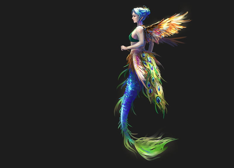 Mermaid, feather, summer, peacock, black, blue, liliia sokolova, fantasy, vara, green, siren, HD wallpaper
