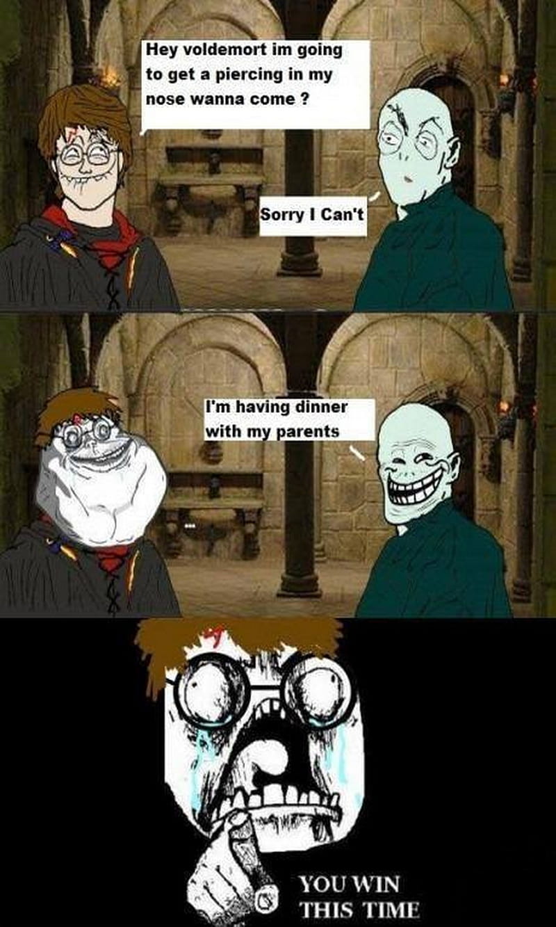 120 Funny Voldemort ideas  voldemort, harry potter funny, harry potter  memes