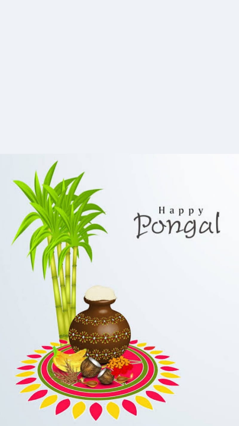 Happy Pongal 2019, flowers, graffiti, glitter, beach, monster, white, white  christmas, HD phone wallpaper | Peakpx