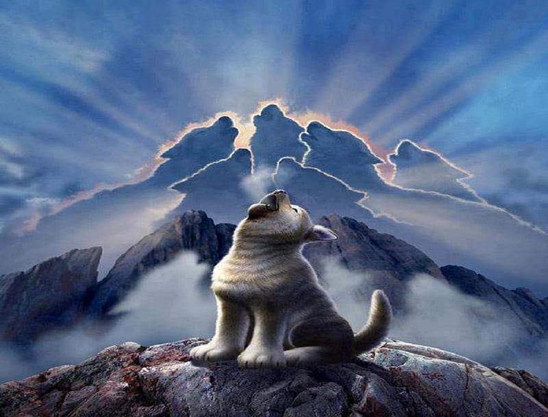 I Am The Voice, fantasy, pup, wolves, sky, animals, dogs, HD wallpaper