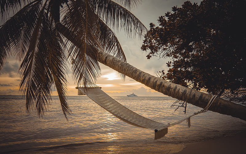Hammock on the palms, tropical islands, sunset, evening, seascape, luxury yachts, palm trees, Hammock, Maldives, HD wallpaper