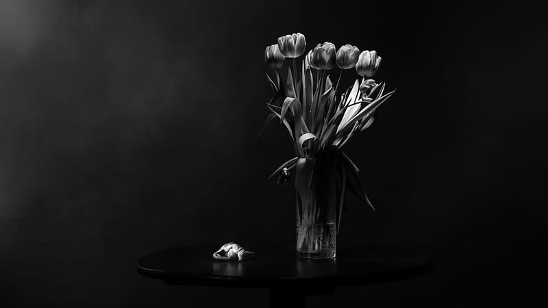 In the dark, tulips, abstract, dark, HD wallpaper In the dark, tulips, abstract, dark, HD wallpaper