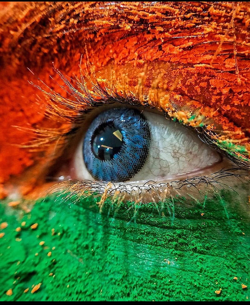Tricolour, independence day, indian spiritual, HD phone wallpaper