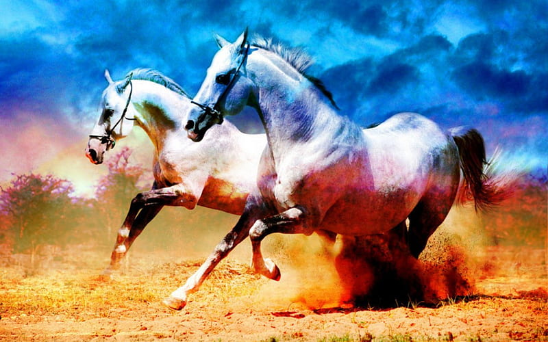 Horses, sky, sands, animals, HD wallpaper | Peakpx