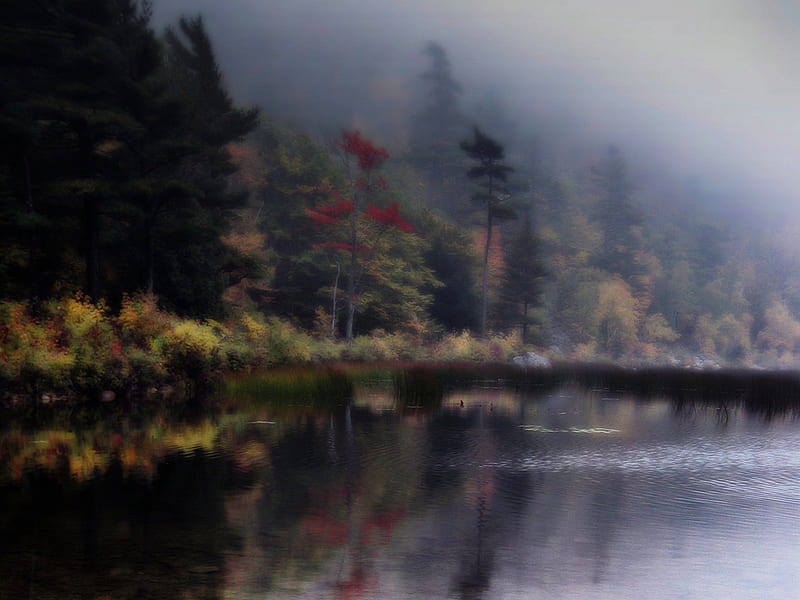 Mystic Lake, nature, lake, mystic, fog, HD wallpaper