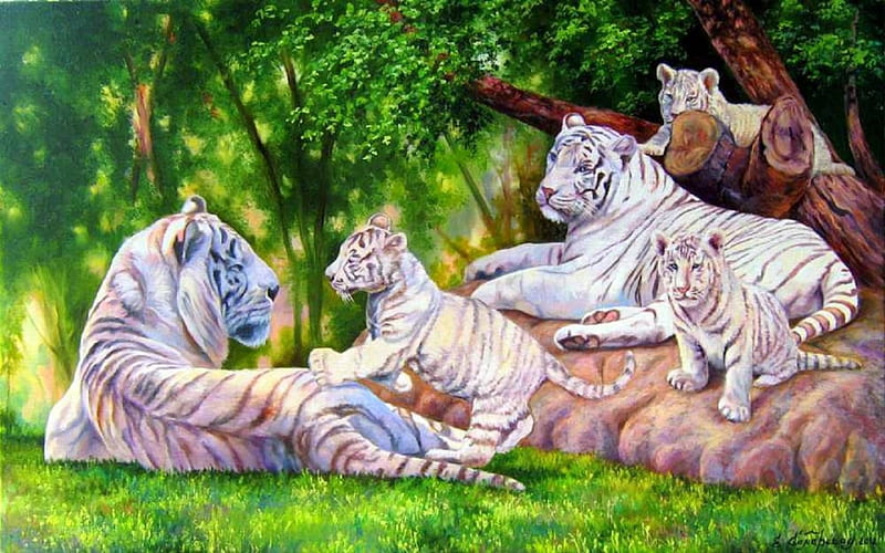 Family's White Tigers, family, draw and paint, lovely, white tigers, tigers, love four seasons, bonito, creative pre-made, seasons, big wild cats, paintings, summer, wildlife, forests, animals, HD wallpaper